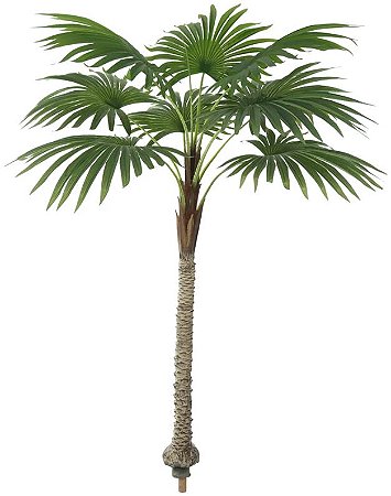 Planta Artificial Arvore Leque Real Toque X9 Verde 1.9m