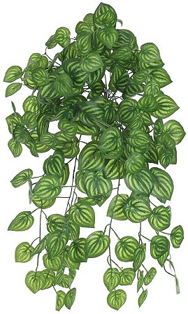 Planta Artificial Folhagem Melancia Pendente X168 Verde Creme 64cm