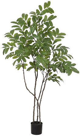 Planta Artificial Arvore Rambutan C/Pote Real Toque X292 Verde 1.6m