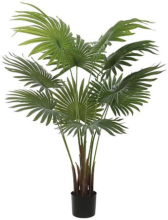 Planta Artificial Arvore Palmeira Leque Real Toque C/Pote X10 Verde 1.2m
