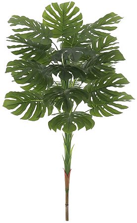Planta Artificial Arvore Costela De Adao Real Toque X21 Verde 1.6m