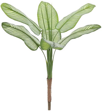 Planta Artificial Arvore Maranta Riscada Real Toque X7 Verde 1.1m