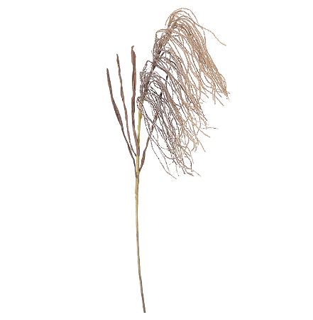 Planta Artificial Galho Cana Brava C/Folha (nude) 80cm