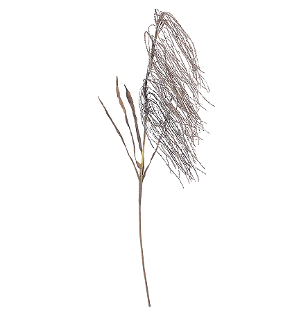 Planta Artificial Galho Cana Brava C/Folha (mauve) 80cm