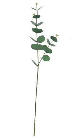Planta Artificial Galho Eucalipto Real Toque C/Proteção UV X20 (verde) 75cm