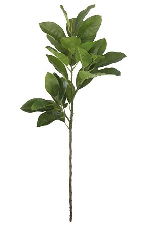 Planta Artificial Galho Magnolia Real Toque X29 (verde) 1,05m