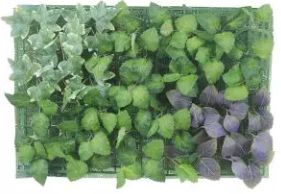Folhagem Artificial Placa Mix Folhas Verde Roxo 40x60cm