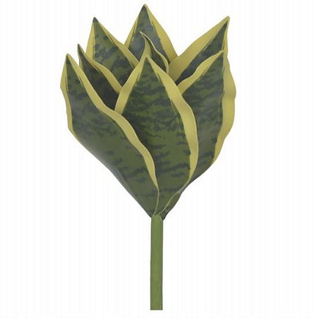 Folhagem Espada de São Jorge Verde e Amarelo X9 (15cm)