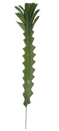 Folhagem Cacto (VERDE) 20x3cm