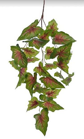 Folhagem Caladium Real Toque Pendurar X26 (VERDE VERMELHO) 55 cm