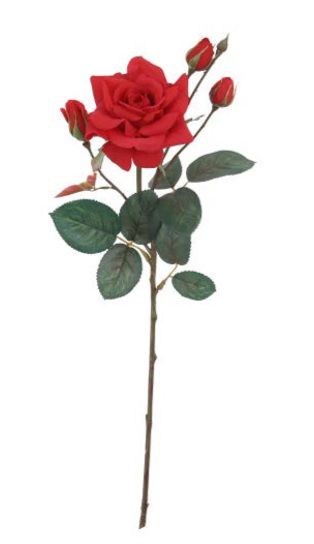 Haste de Rosa Real Toque Grace X4 Cor Vermelho 68cm