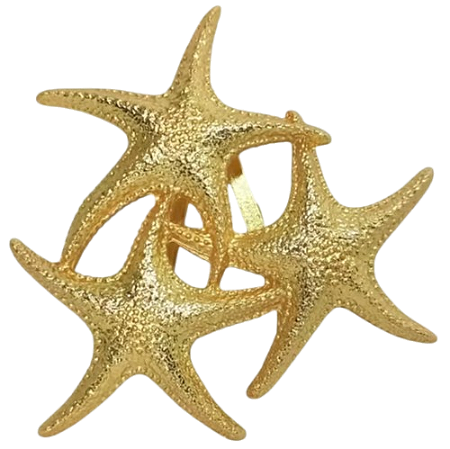 Estrelas do Mar Entrelaçadas Passante Fivela para Vestidos, Biquínis e Cangas