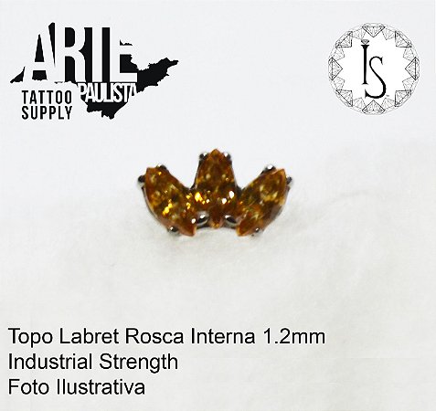 Topo Labret Titânio ASTM F136 - Linha IS Modelo 20