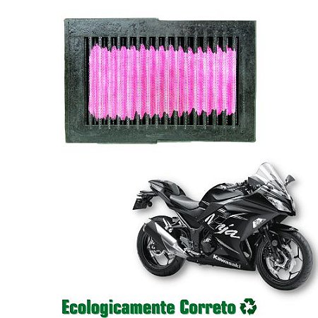 Filtro de Ar Esportivo Lavável Royale - Kawasaki Ninja 250/300