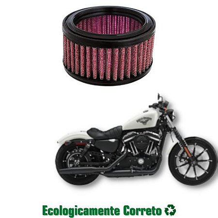 Filtro de Ar Esportivo Lavável Royale - Harley Davidson Sportster 883 Refil