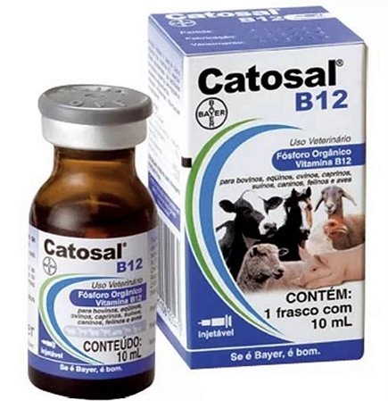 Catosal B12 10ml