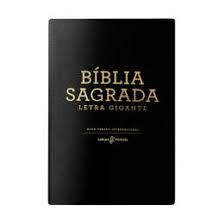 Bíblia sagrada leitura perfeita - NVI