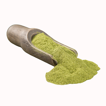 Moringa em pó kg