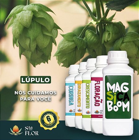 Kit de Fertilizantes Santa Flor Nível Avançado