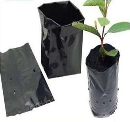 VASO DE SACOS PLÁSTICO  PARA MUDAS
