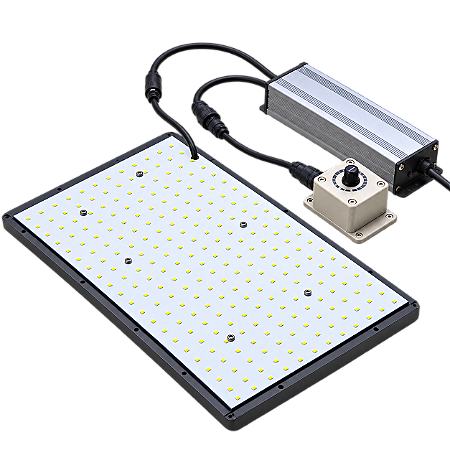 BIOLEDZ Quantum Board 80W BIVOLT