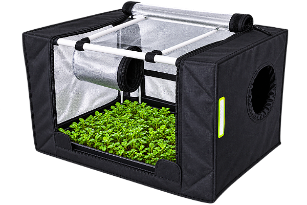 Estufa Probox Propagator S 60 × 40 × 40 cm