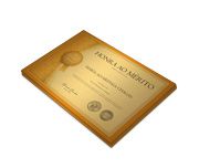 20UNID CERTIFICADOS 300X210MM GOLD MASTER 300G - 4X0