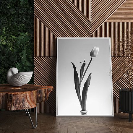Tulipa Branca