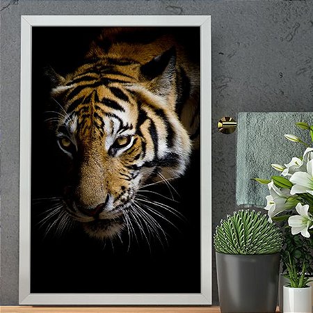 Tigre Penunbro