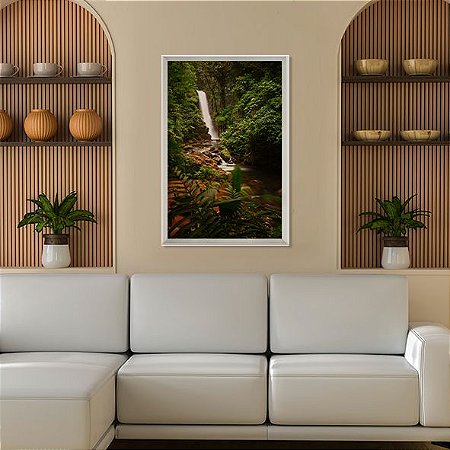 Floresta de La Paz