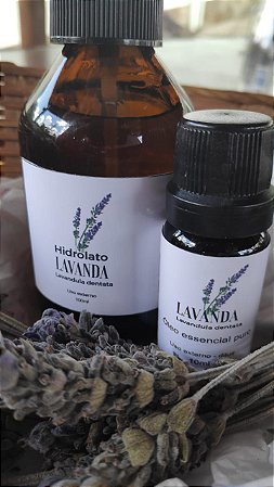 Hidrolato de Lavanda Dentata - 100ml