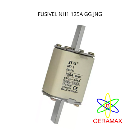 FUSIVEL NH1 125A 500V GG JNG