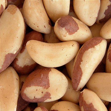 Castanha do Pará Média