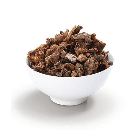 Funghi Seco