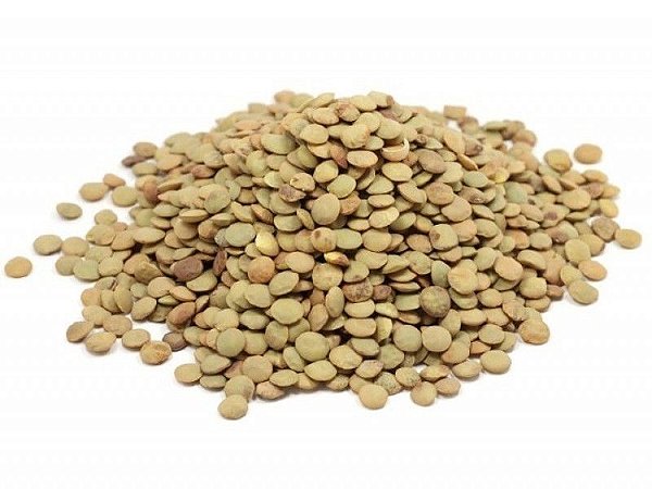 Lentilha Canadense