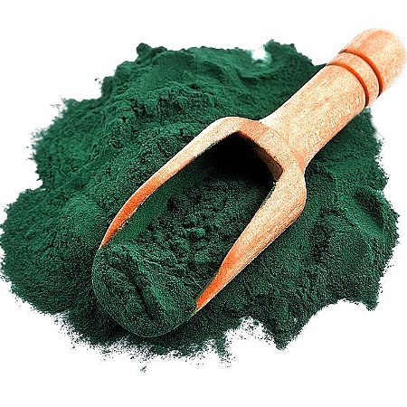 Spirulina em pó