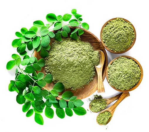 Moringa em pó