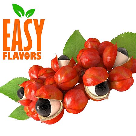 Easy Flavor Extrato Natural de Guaraná 10g