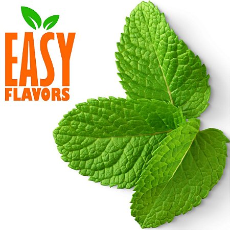 Easy Flavor Extrato Natural de Menta 10g