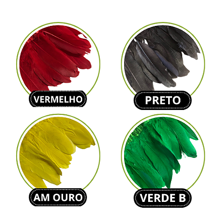 FRANJA PENA GANSO/CISNEI NYBC