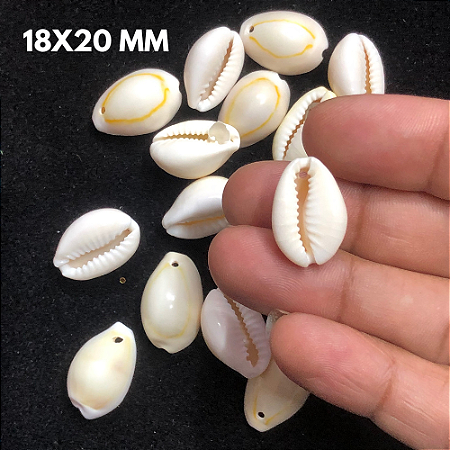 BÚZIOS MADREPÉROLA 18X20 MM ENT C2 25 GR