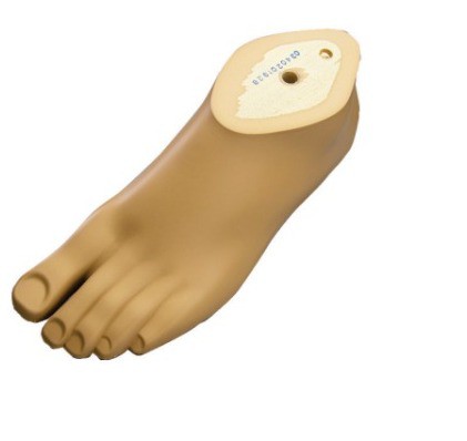 OTTOBOCK Otto Bock Single Axis Prosthetic Foot
