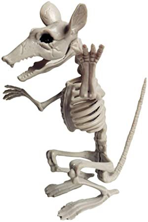 Esqueleto Rato