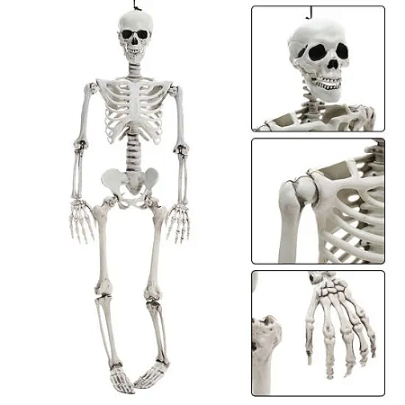 Esqueleto Articulado Halloween - 90cm