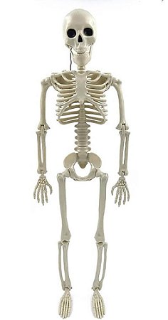 Esqueleto Halloween Articulado - 40cm