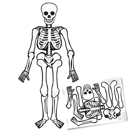 Esqueleto Articulado Cartonado Travessuras Halloween - 150cm
