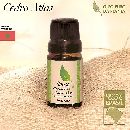 Óleo Essencial de Cedro Atlas