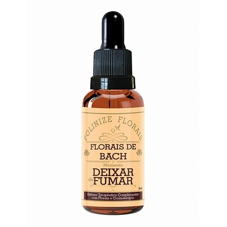 Floral De Bach Momento Deixar De Fumar 30ml
