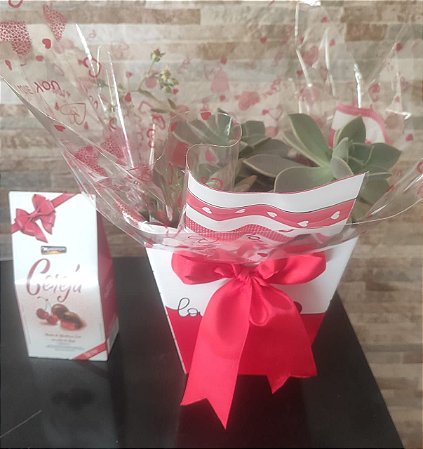 Kit Sucolentas Fascinantes