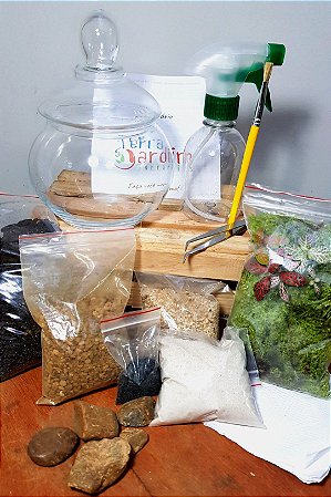 Kit Terrário 19 x 14 cm